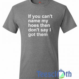 If You Can’t Name My Hoes Then T Shirt